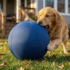 Novalys™ Indestrucible Herding Ball