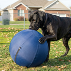 Novalys™ Indestrucible Herding Ball