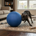 Novalys™ Indestrucible Herding Ball
