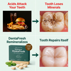 NOVALys™ DentaFresh — Remineralizing Gum