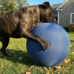 Novalys™ Indestrucible Herding Ball