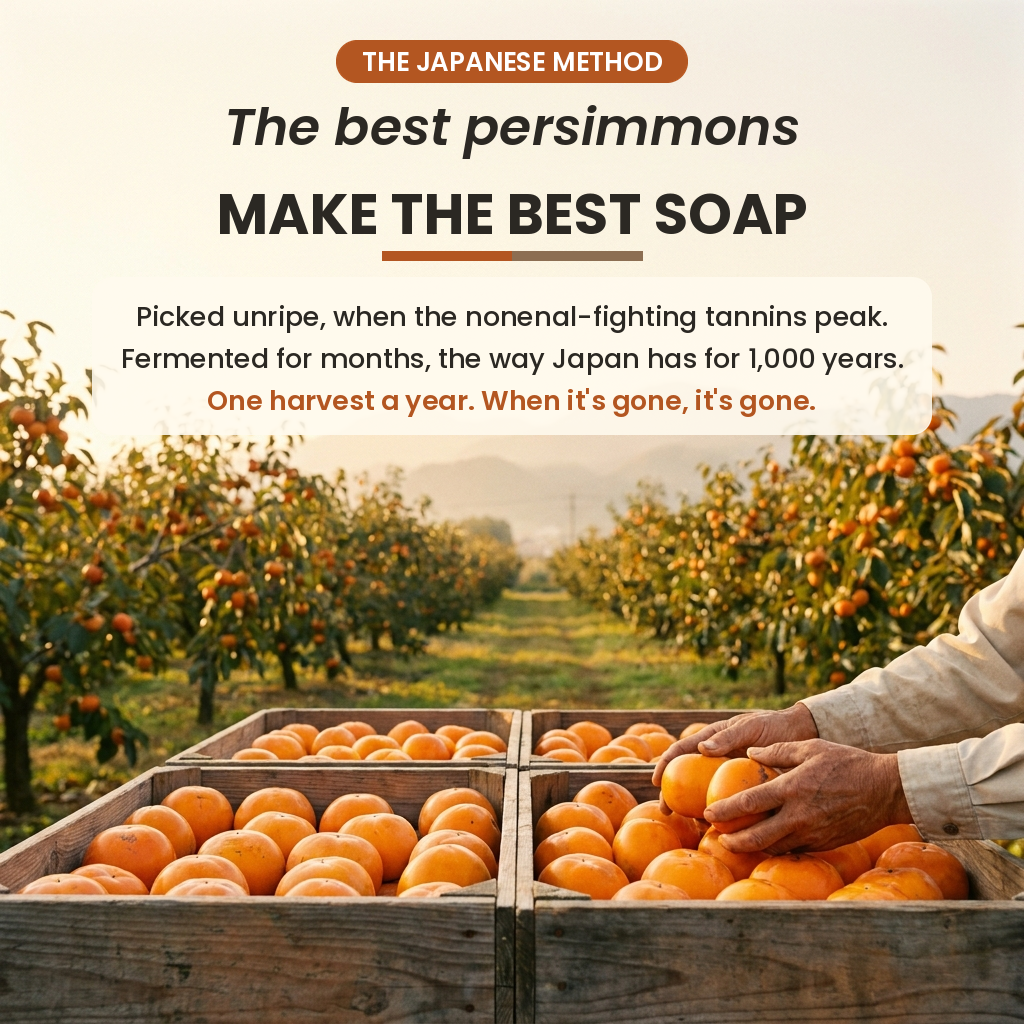 Novalys — Persimmon Soap