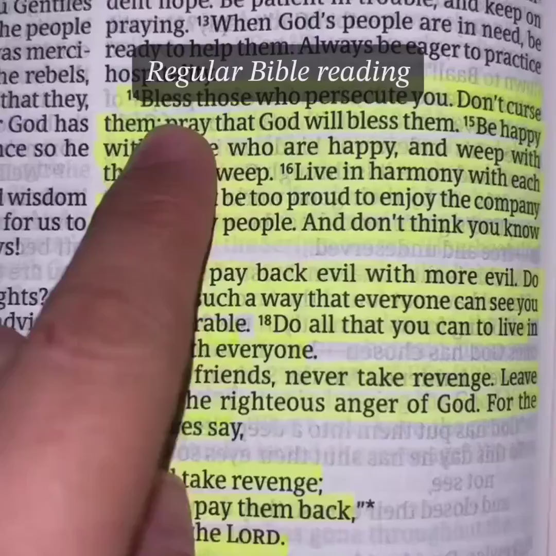 The 66 Books Guide — Everything You Need to Study the Bible With Confidence